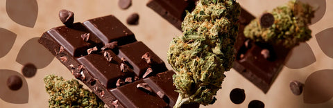 15% OFF Chocolope Hemp Tea