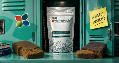 BACK TO HASH SCHOOL