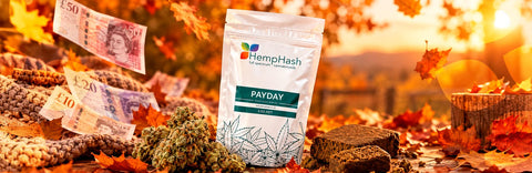 Your Payday Perk