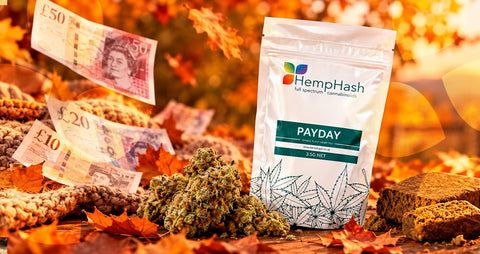 Your Payday Perk