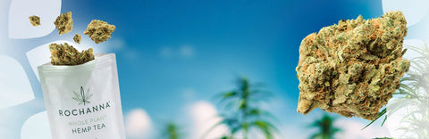 It’s Back: M8 Amnesia Hemp Tea