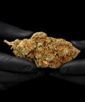 Banana Kush | CBD Flowers | Easy Weed | Buds | 14% CBD