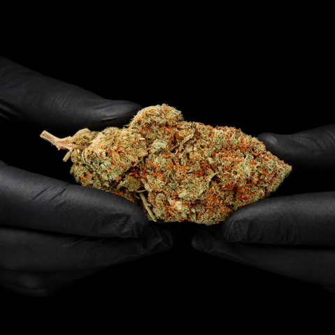 Banana Kush | CBD Flowers | Easy Weed | Buds | 14% CBD