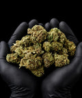 Blue Dream | CBD Flowers | Easy Weed | Pops | 14% CBD