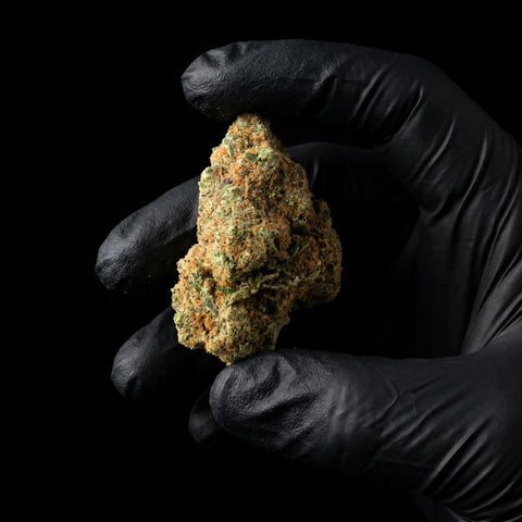 Blueberry | CBD Flower | Indoor | HempHash | 16% CBD