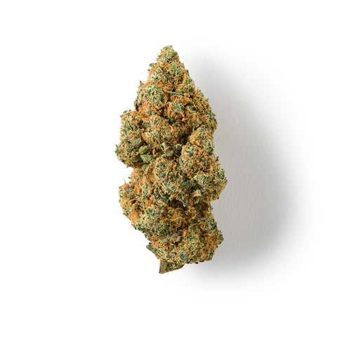 Forbidden Fruit CBD hemp tea with 18% CBD, sweet citrus flavours, and rich trichome coverage.