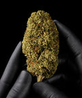 Bubba Kush | CBD Flower | USA Greenhouse | HempHash | 16% CBD