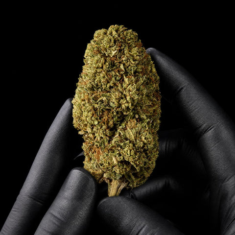 Bubba Kush | CBD Flower | USA Greenhouse | HempHash | 16% CBD
