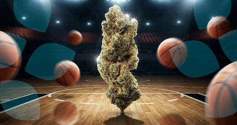 New Drop on the Court: Strawberry Payton