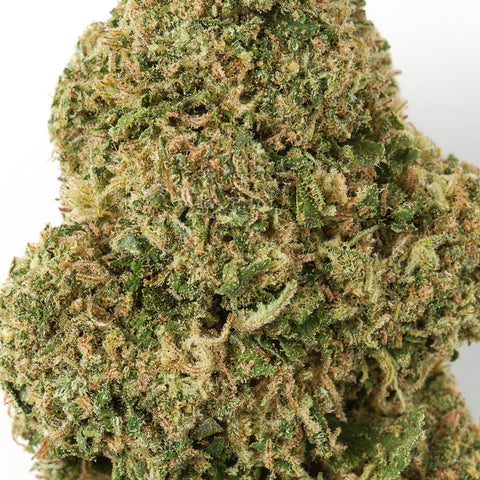 Candy | CBD Hemp Flower | Glasshouse + Light Support | 11% CBD