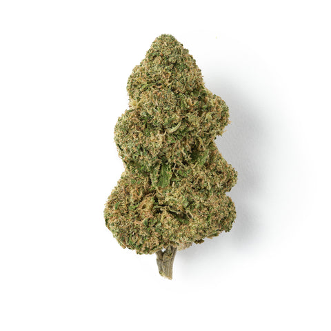 Candy | CBD Hemp Flower | Glasshouse + Light Support | 11% CBD