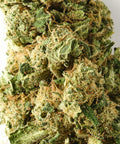 Chocolope | CBD Flower | Glasshouse + Light Support | 16% CBD - HempHash