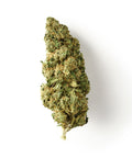 Chocolope | CBD Flower | Glasshouse + Light Support | 16% CBD - HempHash
