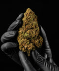Critical Berries | CBD Flower | USA Greenhouse | HempHash | 17% CBD