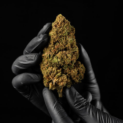 Critical Berries | CBD Flower | USA Greenhouse | HempHash | 17% CBD