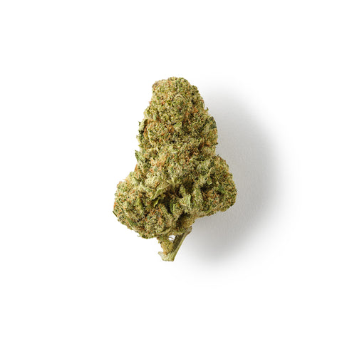 Forbidden Fruit CBD hemp tea with 18% CBD, sweet citrus flavours, and rich trichome coverage.