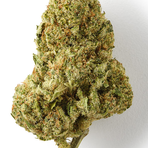 Forbidden Fruit CBD hemp tea with 18% CBD, sweet citrus flavours, and rich trichome coverage.