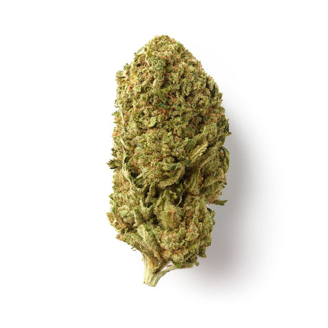 Fruit Cake | CBD Flower | Glasshouse + Light Support | HempHash | 15% CBD