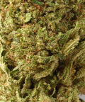 Fruit Cake | CBD Flower | Glasshouse + Light Support | HempHash | 15% CBD