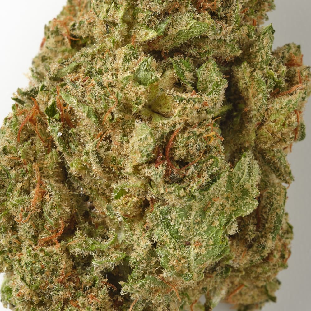 Forbidden Fruit | CBD Flower | Premium Indoor | HempHash | 18% CBD