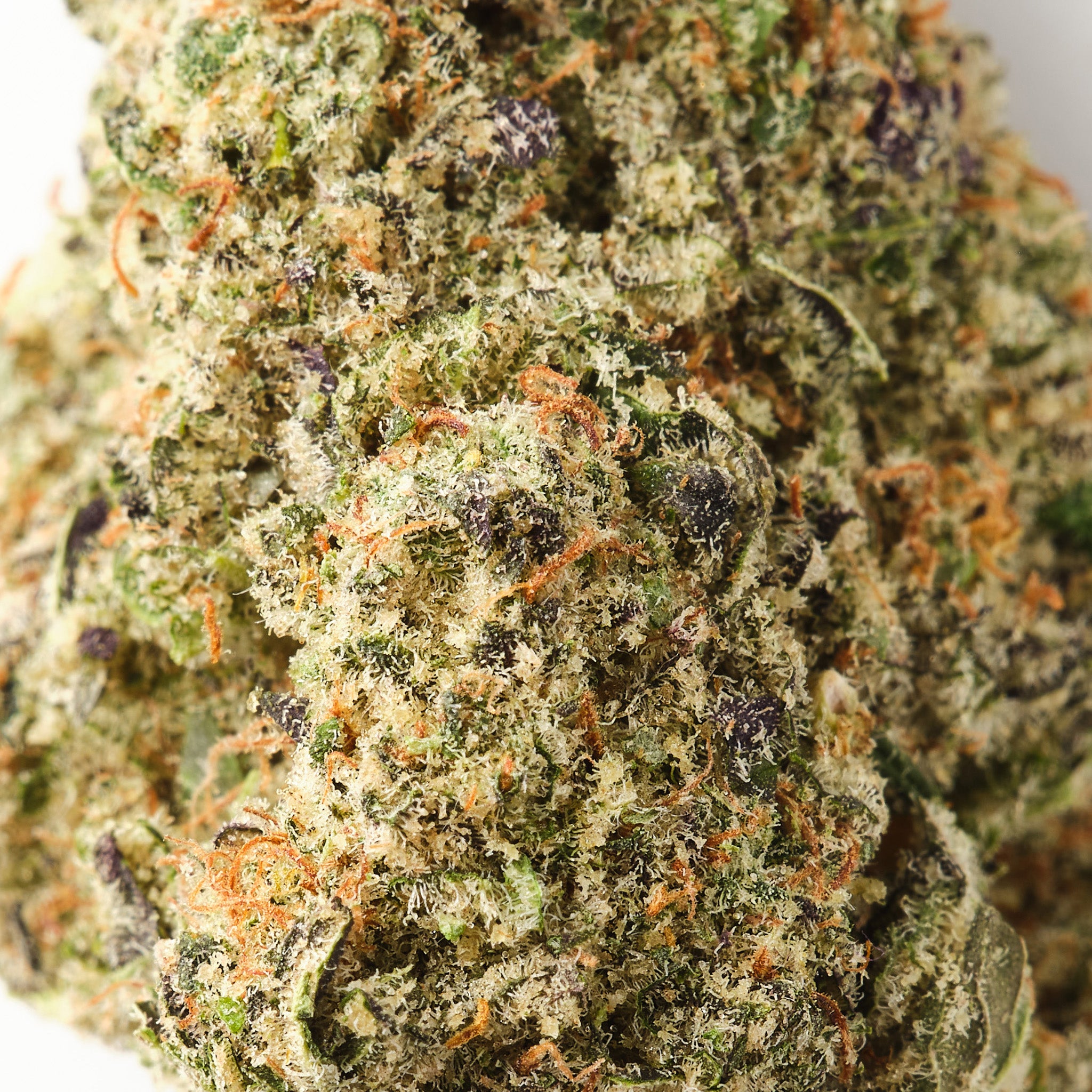 Purple Kush | CBD Flower | Exquisite Indoor | 18% - HempHash