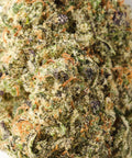Purple Kush | CBD Flower | Exquisite Indoor | 18% - HempHash
