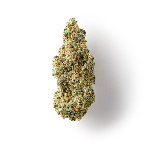 GOATzilla | CBD Flower | Exquisite Indoor | 18.9% CBD - HempHash