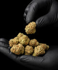 Green Crack | CBD Flowers | Easy Weed | Pops | 14% CBD