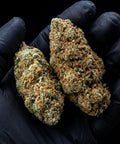 Harlequin 2.0 | CBD Flowers | Easy Weed | Buds | 16% CBD