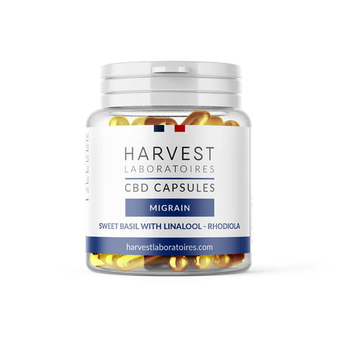 Harvest CBD Migraine Capsules, 1500mg CBD, with sweet basil, Rhodiola, organic, <0.2% THC, may aid migraine relief.