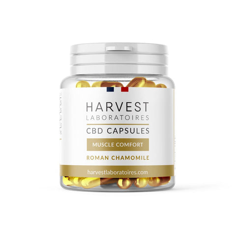 Muscle Comfort | CBD Capsules | Harvest - HempHash