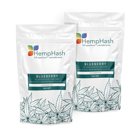 Blueberry CBD hemp tea, 14% CBD, glasshouse-grown, blueberry and pine aroma, mid-green flowers.