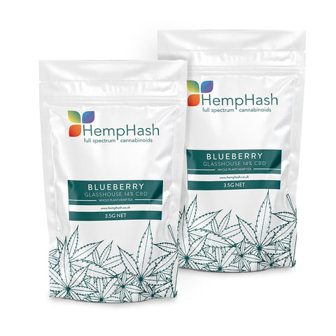 Blueberry CBD hemp tea, 14% CBD, glasshouse-grown, blueberry and pine aroma, mid-green flowers.