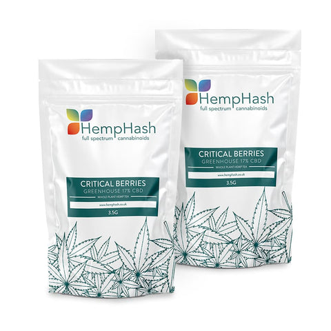 Critical Berries CBD Flower Hemp Tea: 15% CBD, US-origin, sweet berry and spice aromas, greenhouse-grown.