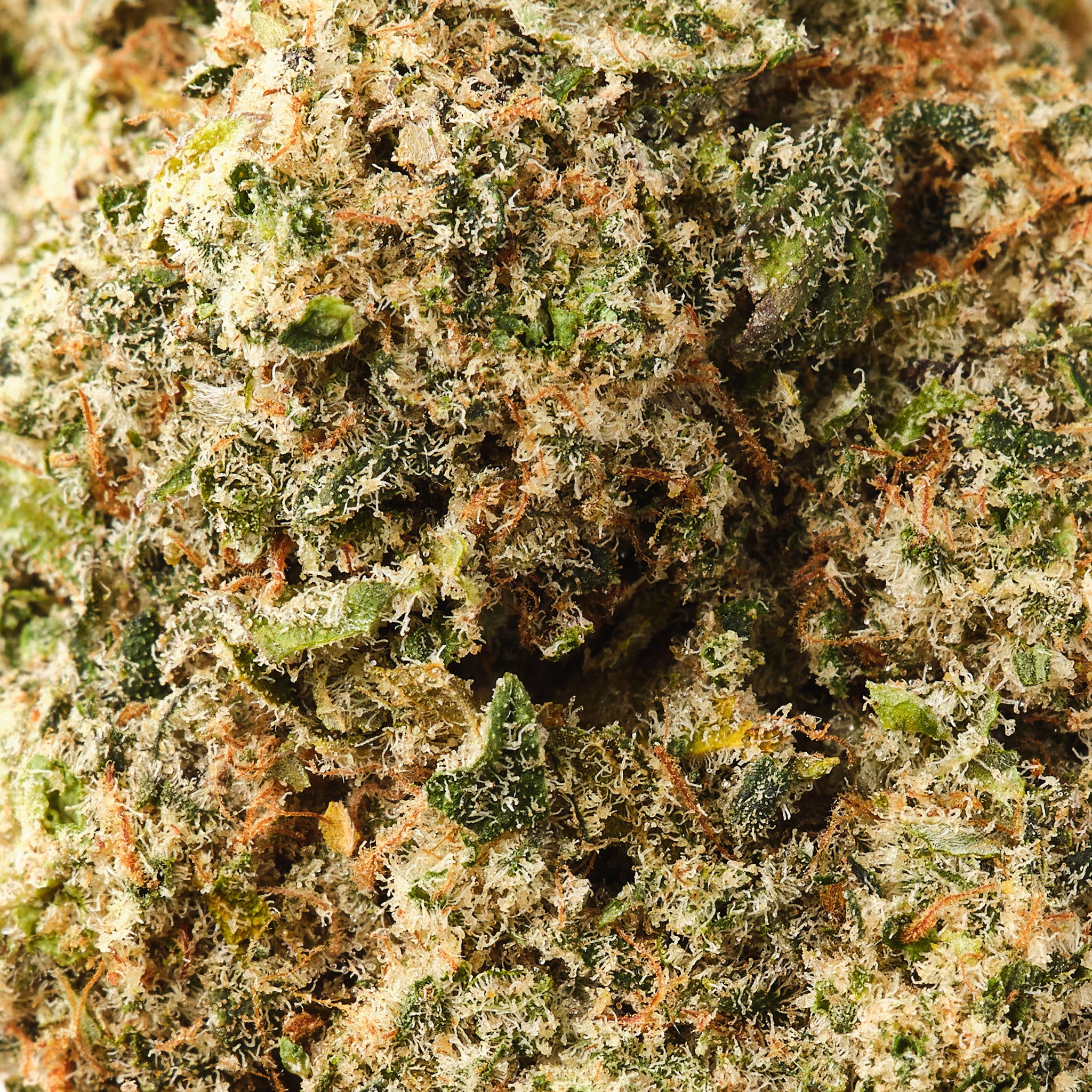 Legendary Skunk | CBD Flower | Exquisite Indoor | 17% CBD