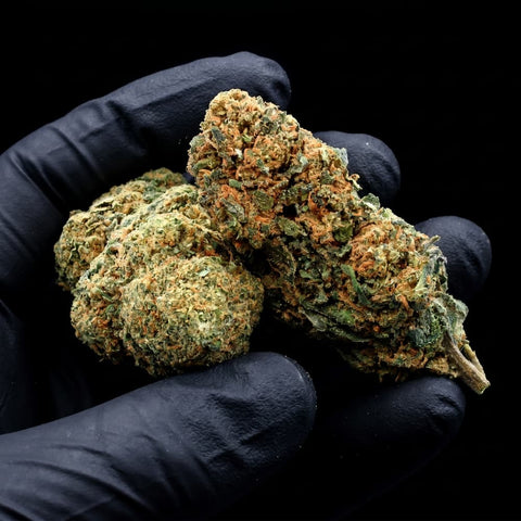 Lemon Amnesia | CBD Flowers | Easy Weed | Buds | 18% CBD