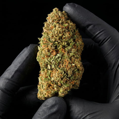 Lemon Octane | CBD Flower | USA Greenhouse | HempHash | 16% CBD