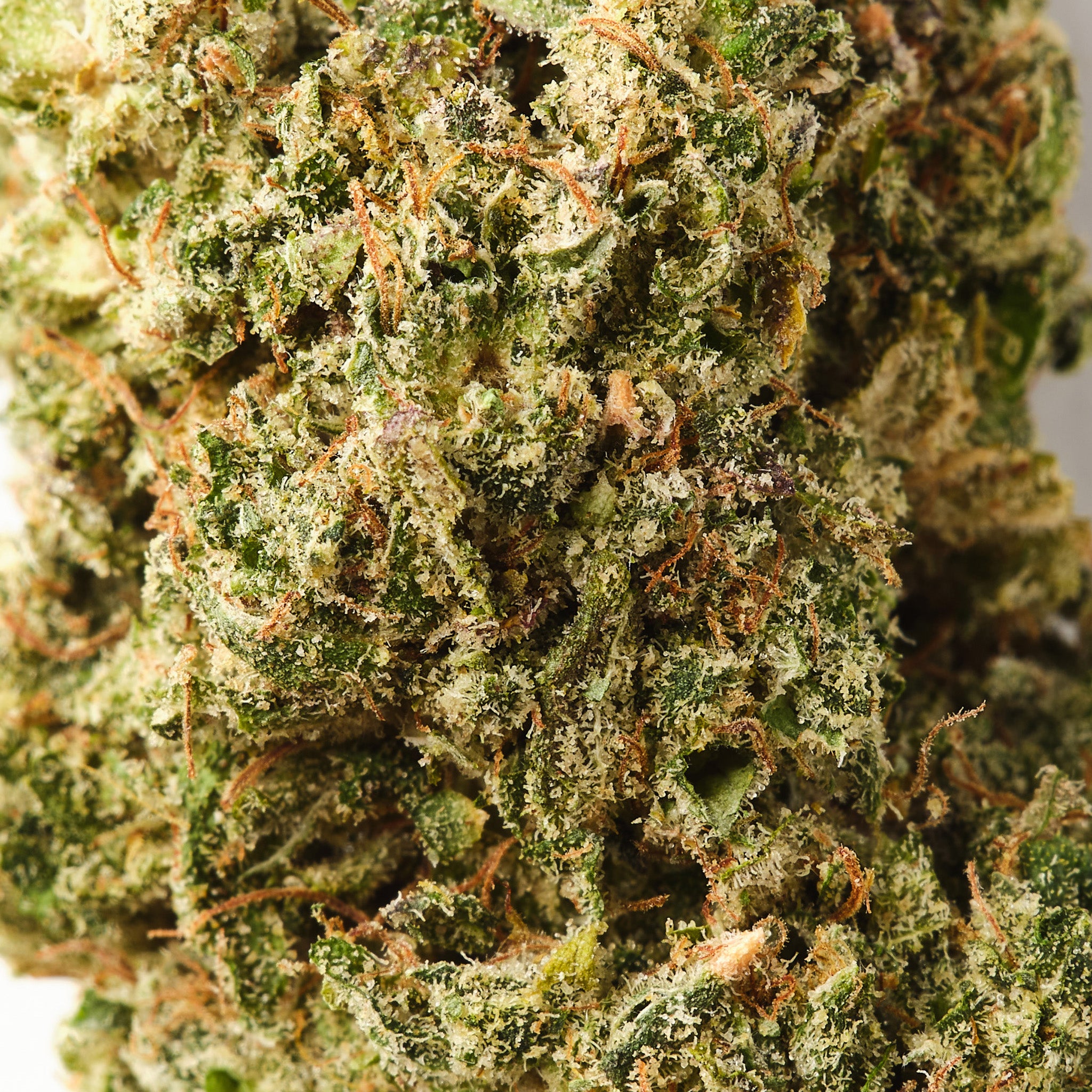 Lemon Kush Burst | CBD Flower | Exquisite Indoor | 14% CBD - HempHash