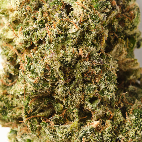 Lemon Kush Burst | CBD Flower | Exquisite Indoor | 14% CBD - HempHash