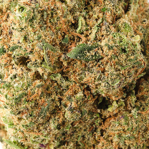 Maui | CBD Hemp Flower | Indoor | HempHash | 18% CBD