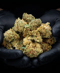 Mimosa Punch | CBD Flower | Easy Weed | Pops | 16% CBD