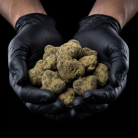 Moon Rock | CBD Flowers | Ivory | Buds | 85% CBD