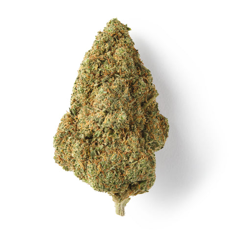 Orange Bud | CBD Hemp Flower | Premium Indoor | HempHash | 16% CBD