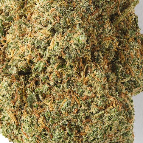 Orange Bud | CBD Hemp Flower | Indoor | HempHash | 16% CBD