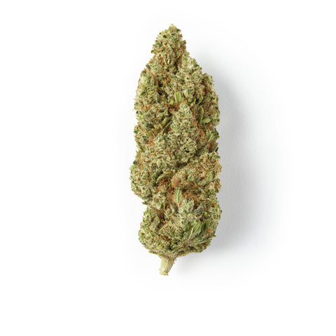 Orangello | CBD Hemp Flower | Indoor | HempHash | 17% CBD