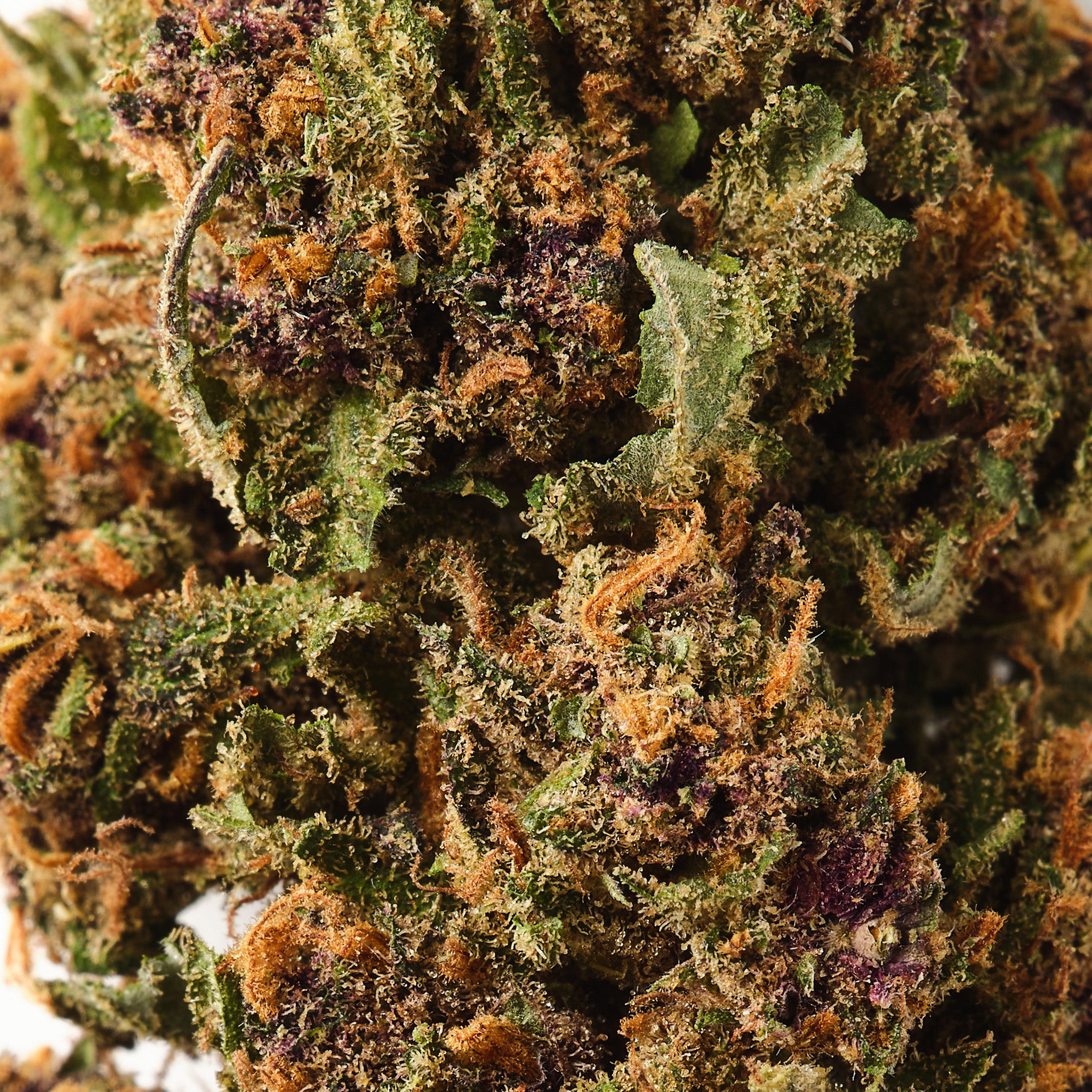 Strawberry | CBD Hemp Flower | Glasshouse | 12% CBD - HempHash