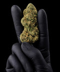 Candy | CBD Flower | Glasshouse + Light Support | 11% CBD