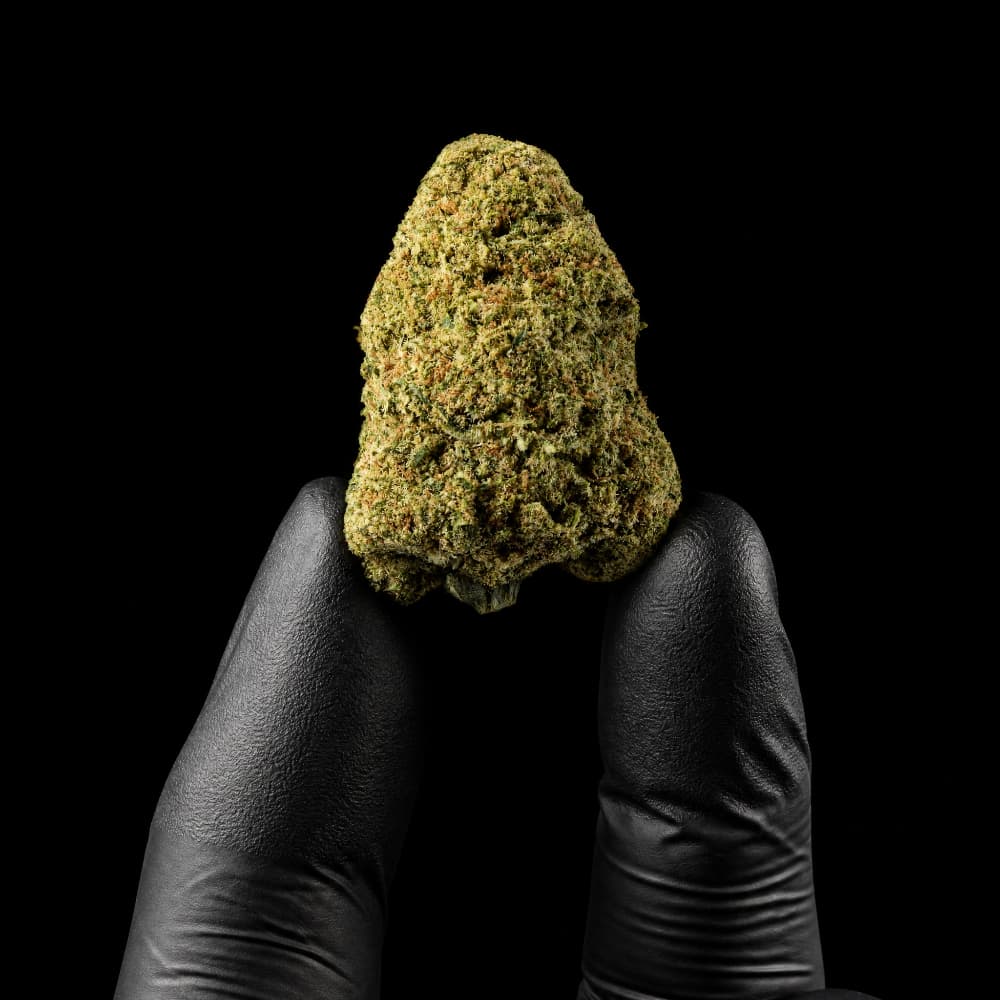 Rochana-Cannatonic_CBDHempFlower_BoutiqueIndoor_20_CBD