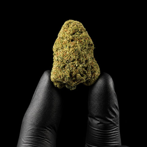 Rochana-Cannatonic_CBDHempFlower_BoutiqueIndoor_20_CBD