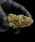 Cannatonic | CBD Hemp Flower | Glasshouse + Light Support | 19% CBD